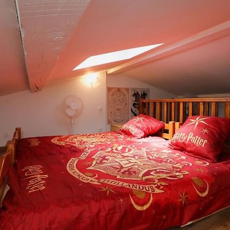 Harry Potter - Le Logis Du Petit Sorcier - Clim Διαμέρισμα Καρκασόν Εξωτερικό φωτογραφία